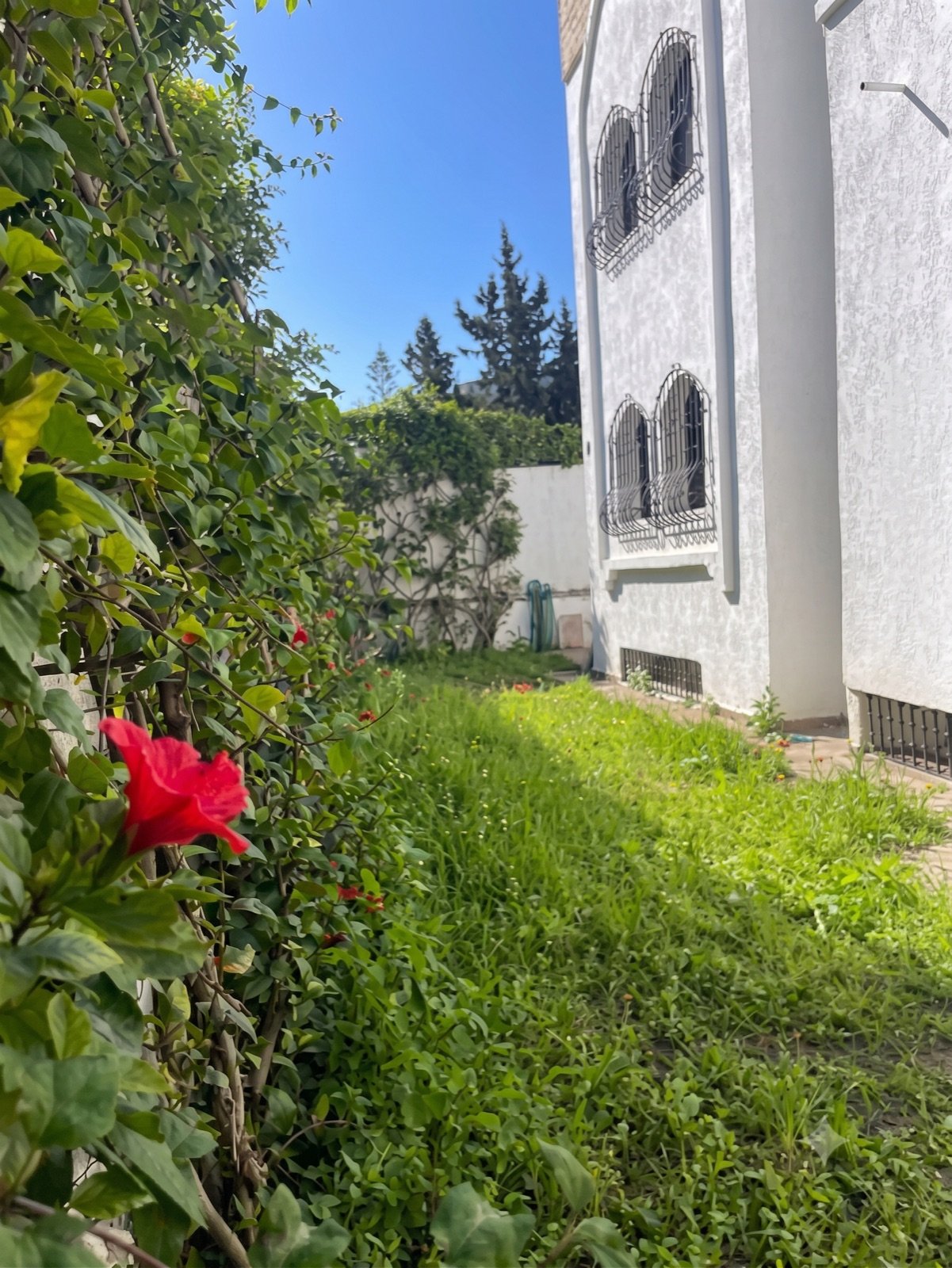 Le jardin du centre
